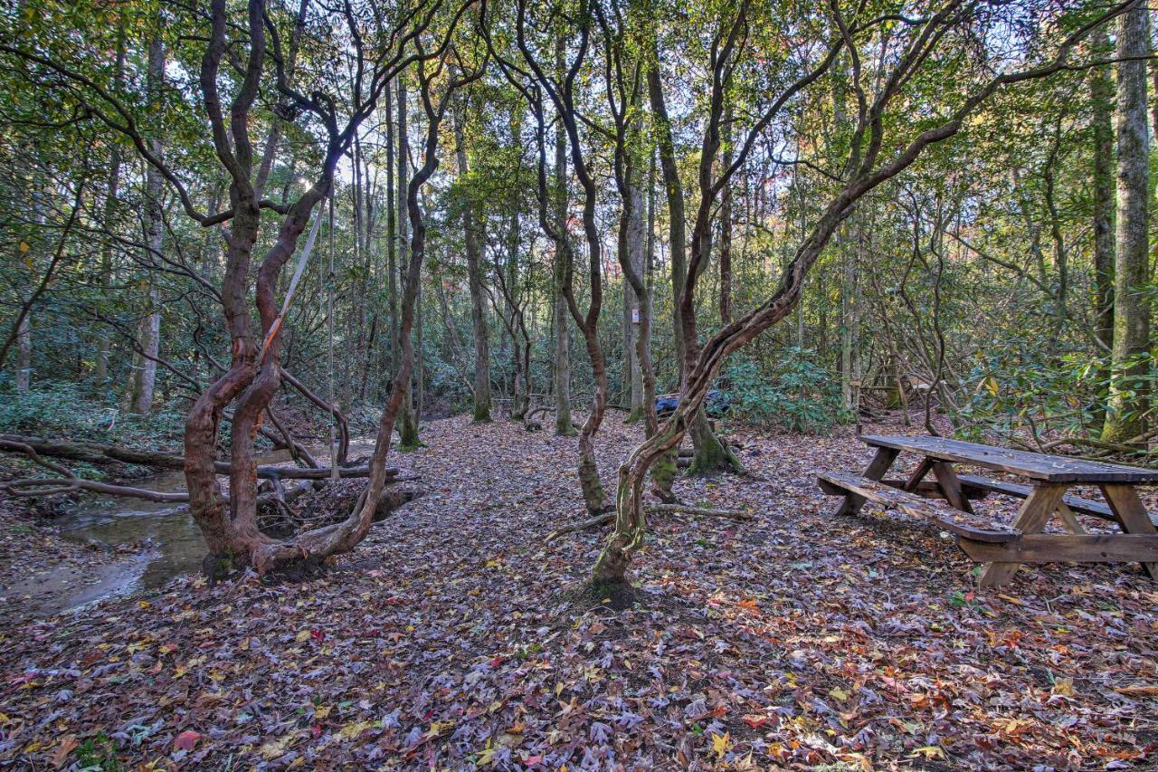 5-Acre North Georgia Mountain Retreat With Creek! Sautee Nacoochee Exterior foto